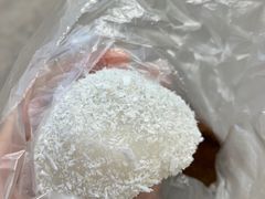 -华南师范大学石牌校区陶园