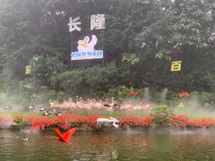 -广州长隆飞鸟乐园