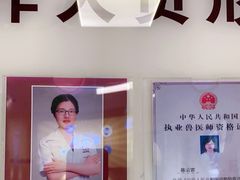 -派联宠物医院·24h·CT·异宠