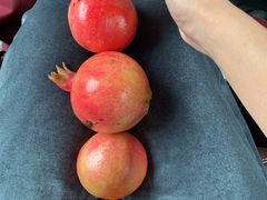 -马牌轮胎(青岛北路店)