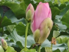 -苏州吴中太湖旅游区