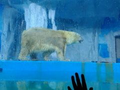 -多彩贵州城极地海洋世界