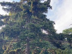 -青岛德国总督楼旧址博物馆