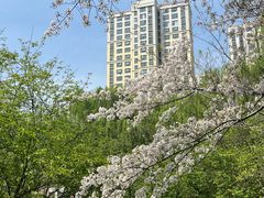 -白塘生态植物园