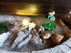 -小龙坎火锅(好世界店)