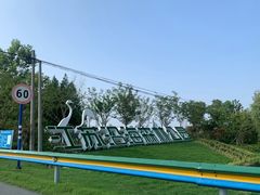 -盐城丹顶鹤湿地生态旅游区