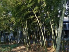 -浙江大学(玉泉校区)