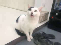 -菠萝格斗巴西柔术训练馆