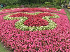 -上海共青森林公园