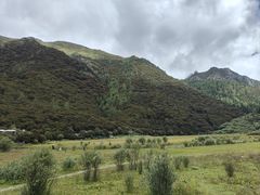 -稻城亚丁景区-冲古草甸