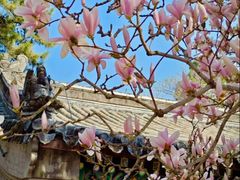 -潭柘寺景区