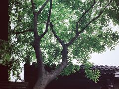 -回龙窝历史文化街区