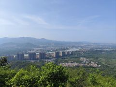 -风云岭森林公园