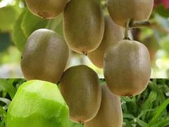 -奥体中心游泳馆