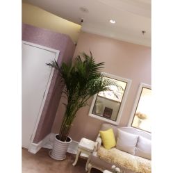 -UP&UP·半永久眉毛眼线机器野生眉