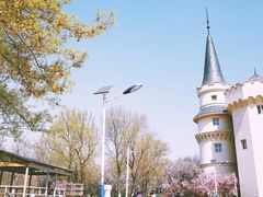 -北京张裕爱斐堡酒庄
