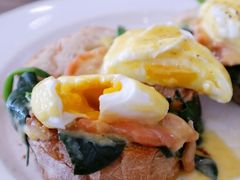 班尼迪克-JamaicaBlue(新城国际店)
