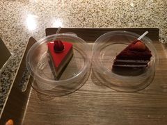 -美食小镇·观赏珍稀鸟类·长隆熊猫酒店