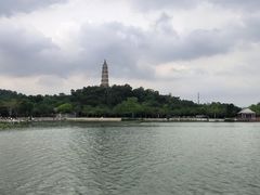 -顺峰山公园