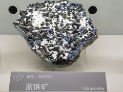 -中国地质博物馆
