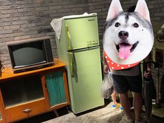 -和平菓局(王府井店)