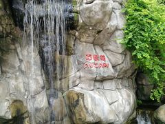 -九龙公园