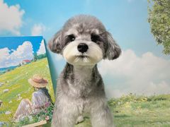 -BABIT巴比特宠物(MOMOPARK店)