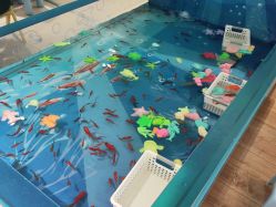 -孩子王(塘沽滨海万达店)