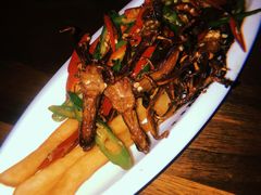 -MR.ROCKY洛奇先生RESTAURANT&BAR(宝安壹方城店)