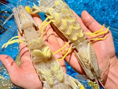 -徐记海鲜(大雁塔|金都店)