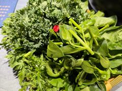 -慢丽江·云南野生菌土鸡锅(付家庄店)