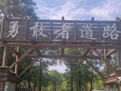 -滨江森林公园-真人CS野战场