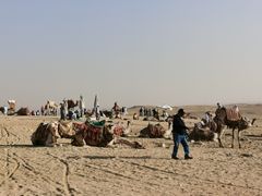 景点-吉萨金字塔群