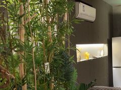 -施奈儿.洗头頭療.按摩SPA.采耳(上梅林店)