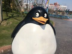 -上海海昌海洋公园