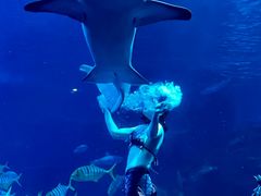 -太平洋海底世界