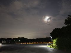 -福田红树林生态公园