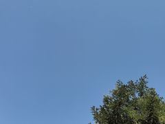 -木塔寺遗址生态公园