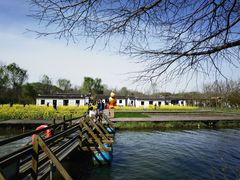 -溱湖国家湿地公园