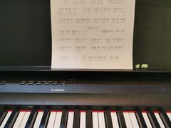 -大象音乐·吉他·架子鼓·声乐(双井店)