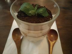 盆栽提拉米苏杯-娜娜家•Nana’Garden (福州道店)