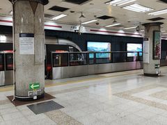 -大望路(地铁站)
