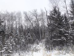 -长白山万达国际滑雪场