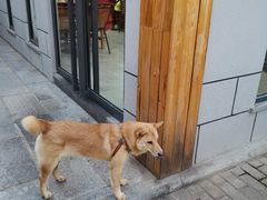 -生态苑农庄(十里画廊遇龙河店)