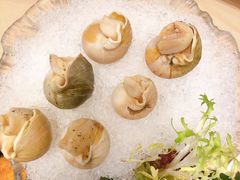 冰镇翡翠螺-金苑海鲜酒家(来魅力店)