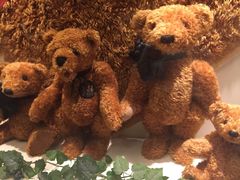 -济州岛泰迪熊博物馆