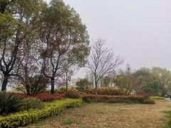 -苏州太湖国家湿地公园