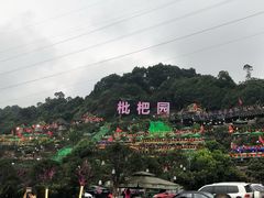 -枇杷园食为鲜火锅(南山店)