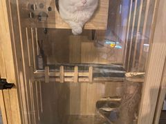 -Mr.Fox狐狸先生超级密室(南山店)