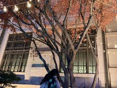 -新世界百货(明洞总店)